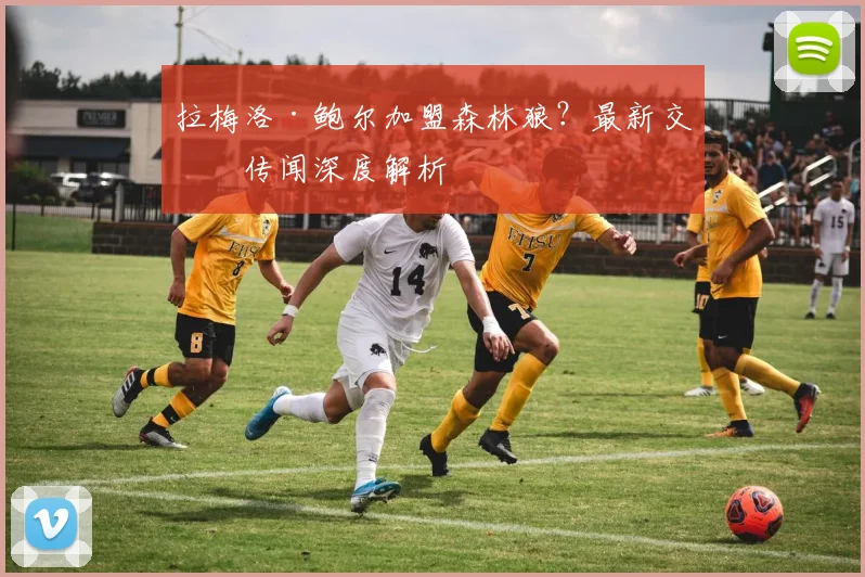 拉梅洛·鲍尔加盟森林狼？最新交易传闻深度解析