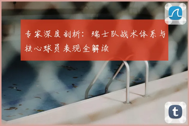 专家深度剖析：瑞士队战术体系与核心球员表现全解读